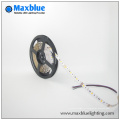 O mais popular DC12 / 24V SMD LED Strip Light com Ce RoHS